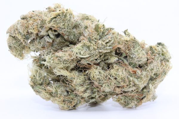 Cactus Breath strain for weed delivery in newmarket