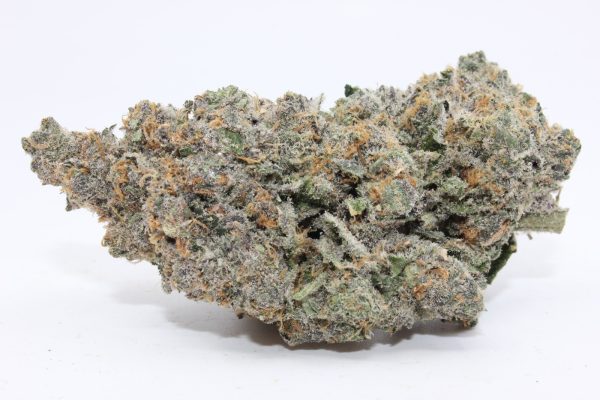 MINT CHOCOLATE CHIP (AAAA) - MARY JAY PREMIUM