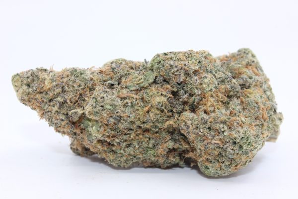 CRITICAL ORANGE PUNCH