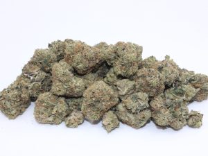 THE 💯 - DEATH BUBBA