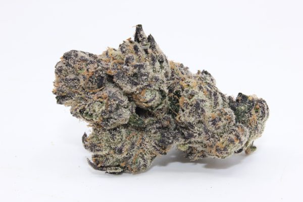 LEMON CHERRY GELATO (AAAA)