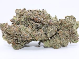 PINK 94 (AAAA+)