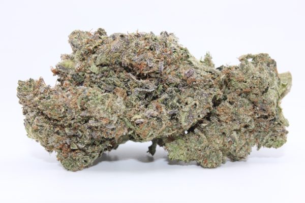 PINK 94 (AAAA+)