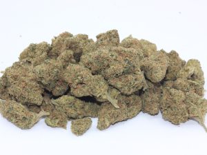 THE 💯 - CITRUS SUNSHINE HAZE