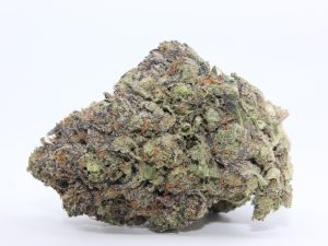 PINK ZOMBIE