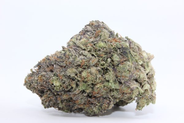 PINK ZOMBIE