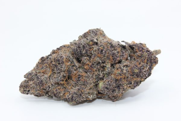 PURPLE OCTANE
