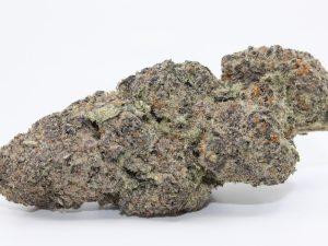 ROCK TARTS (AAAA)