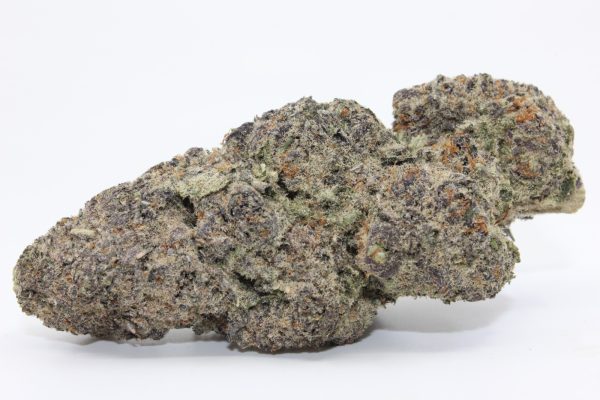 ROCK TARTS (AAAA)