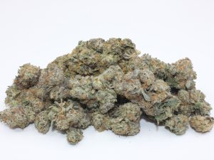 THE 💯 - BRAIN DEAD ALIEN