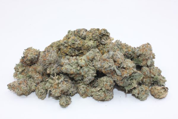 THE 💯 - BRAIN DEAD ALIEN