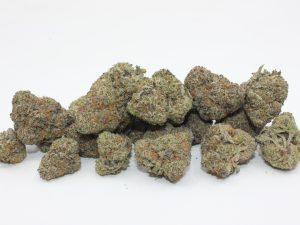 THE 💯 - BUBBA SLUSH
