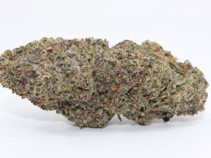 GUAVA TARTZ