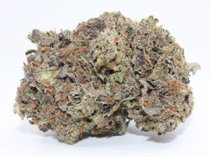 ISLAND PINK (AAAA)