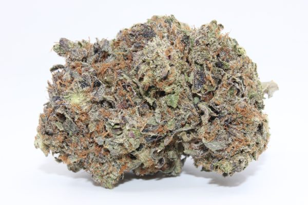 ISLAND PINK (AAAA)