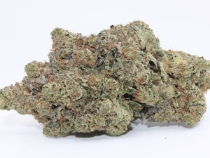 MIKE TYSON (AAAA) - MARY JAY PREMIUM