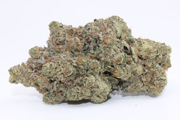 MIKE TYSON (AAAA) - MARY JAY PREMIUM
