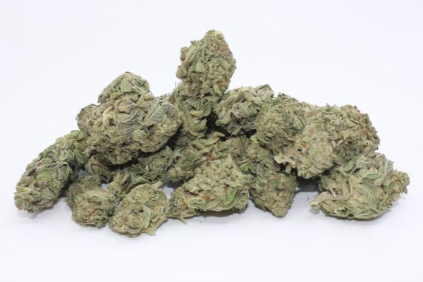 THE 💯 - BLUE CITY DIESEL