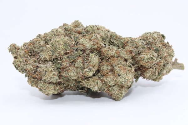 SATIVA DIVA (AAAA)