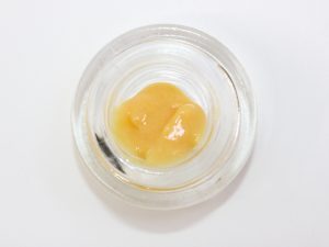 LIVE RESIN: SUGAR BISCUITS - MARY JAY PREMIUM