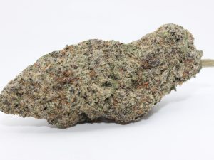 WATERMELON ZKITTLEZ (AAAA)