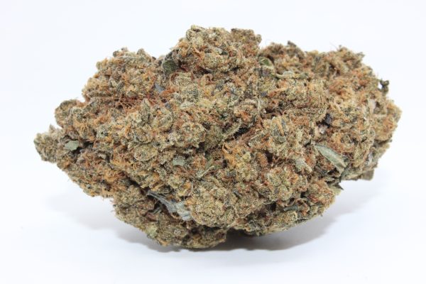 ALIEN JAWBREAKER