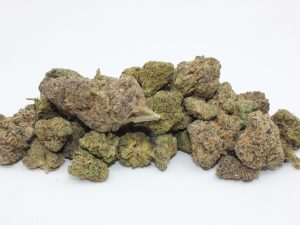 THE 💯 - BLAZING QUAD MIX