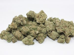 THE 💯 - NORTHERN LIGHTS