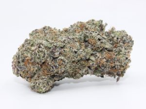 SCOTTY 2 HOTTY X JEALOUSY (AAAA+)