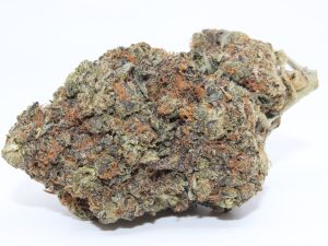 STICKY RICKY