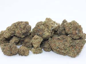 THE 💯 - CHERRY OCTANE