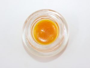 DIAMOND SAUCE: JELLY DOUGHNUT - MARY JAY PREMIUM
