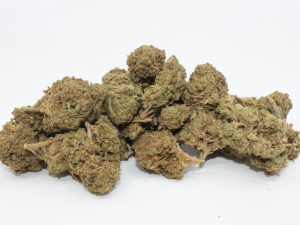 THE 💯 - SPACE MONKEY