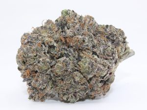 ASTRO PINK (AAAA++) - MARY JAY PREMIUM