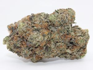 CRITICAL PINK (AAAA++) - MARY JAY PREMIUM