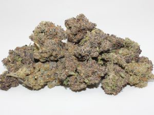 THE 💯 - CRYO WOLF