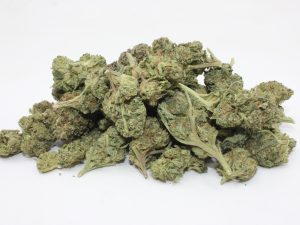 THE 💯 - ICE CREAM COOKIES