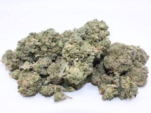 THE 💯 - PINK PUNCH