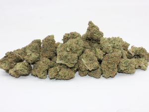 THE 💯 - STARGAZER