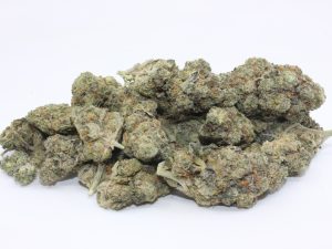 THE 💯 - CANDY RAIN