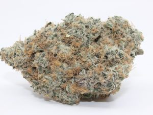 ORANGE SKUNK (AAAA+) - MARY JAY PREMIUM