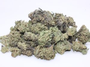 THE 💯 - BLUE MONKEY