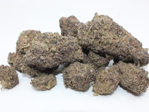 THE 💯 - DRAGONS BLAST