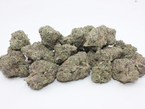 THE 💯 - EL CHERRY