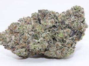 GALACTIC PINK (AAAA++) - MARY JAY PREMIUM