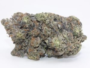 PINK MAGNUM (AAAA++) - MARY JAY PREMIUM