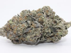 PINK VELVET CAKE (AAAA)