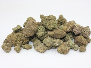 THE 💯 - BINGO MIX