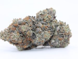 ASTRO PINK (AAAA++) - MARY JAY PREMIUM