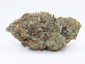 PALM SPRINGS PINK (AAAA++) - MARY JAY PREMIUM